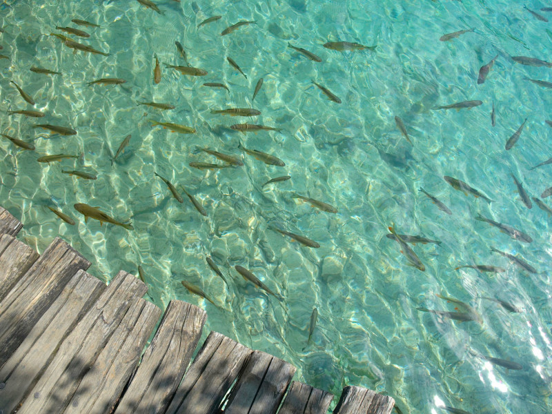 Plitvice_6